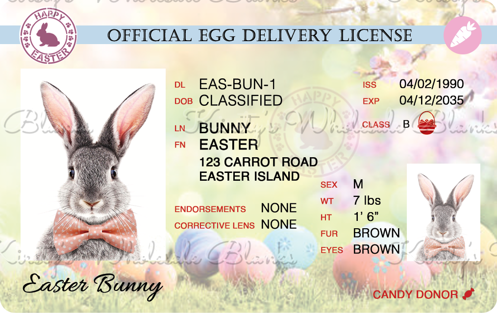 RTS - Easter bunny delivery card